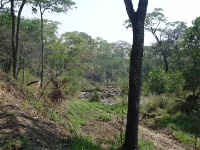 Dzalanyama Forest Lodge