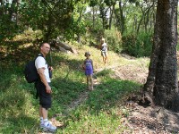 Dzalanyama Forest Lodge
