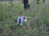 Dzalanyama Forest Reserve