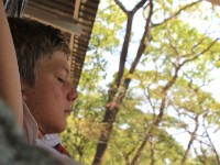 Dzalanyama Forest Lodge