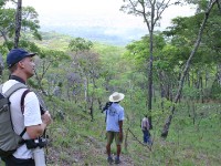 Dzalanyama Forest Reserve
