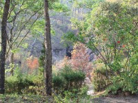 Dzalanyama Forest Lodge