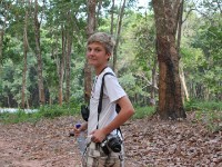 Rubber plantation