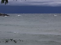 Lake Malawi