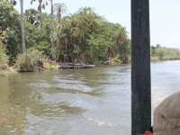 Liwonde National Park