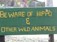 Mvuu Camp Liwonde National Park