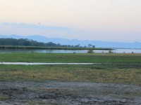 Liwonde National Park