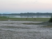 Liwonde National Park