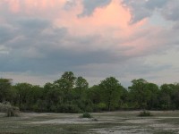 Liwonde National Park