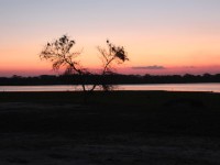 Liwonde National Park