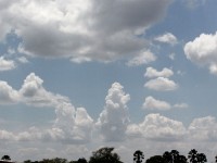 Liwonde National Park