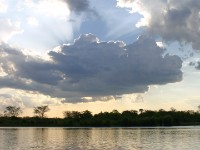 Liwonde National Park