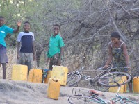 Liwonde National Park