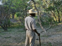 Liwonde National Park Ben Mwapeyah