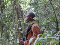 Chowo Forest Ben Mwapeyah