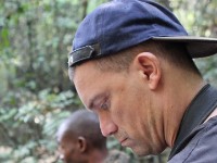Chowo Forest