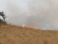 Burning