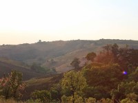 Nyika