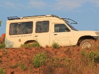 Nyika