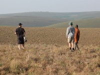 Nyika