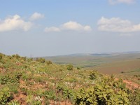 Nyika