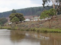 Chelinda Nyika
