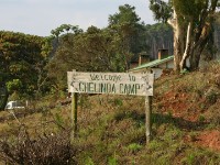 Chelinda Nyika