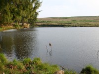 Chelinda Dam 2