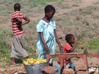 Liwonde to Lilongwe