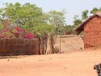 Liwonde to Lilongwe