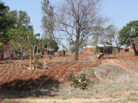 Liwonde to Lilongwe