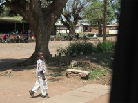 Liwonde to Lilongwe