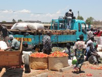 Liwonde to Lilongwe