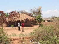 Liwonde to Lilongwe
