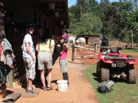 Plateau Stables