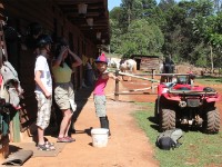 Plateau Stables