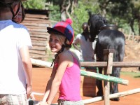 Plateau Stables