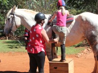 Plateau Stables