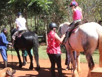 Plateau Stables