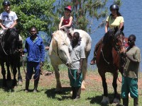 Plateau Stables