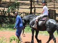 Plateau Stables