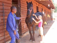Plateau Stables