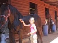 Plateau Stables