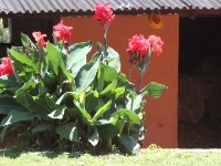 Plateau Stables