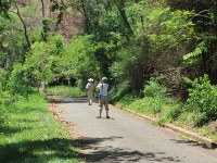Zomba