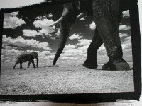 Halali Camp Etosha National Park