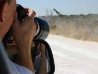 Etosha National Park