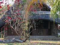 Nkwazi Lodge