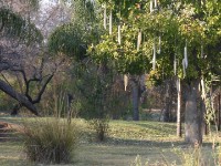 Nkwazi Lodge