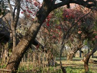 Nkwazi Lodge
